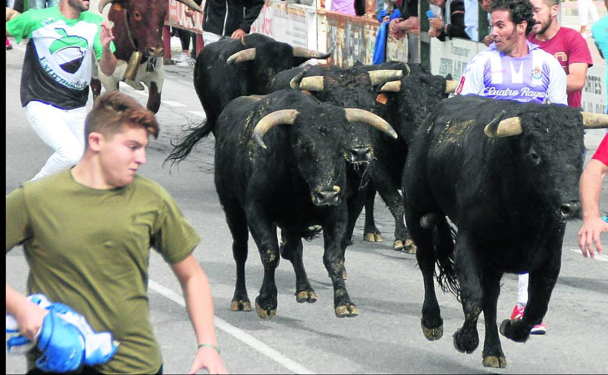 Un momento del último encierro. 