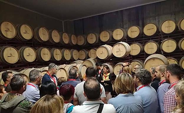 Sala de barricas en una bodega de Mucientes. 