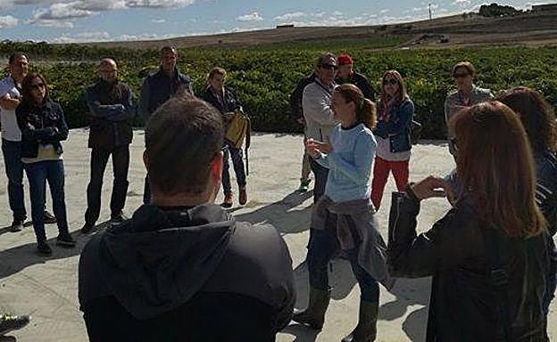 Los visitantes atienden a las explicaciones de una bodeguera junto a un viñedo en Mucientes. 