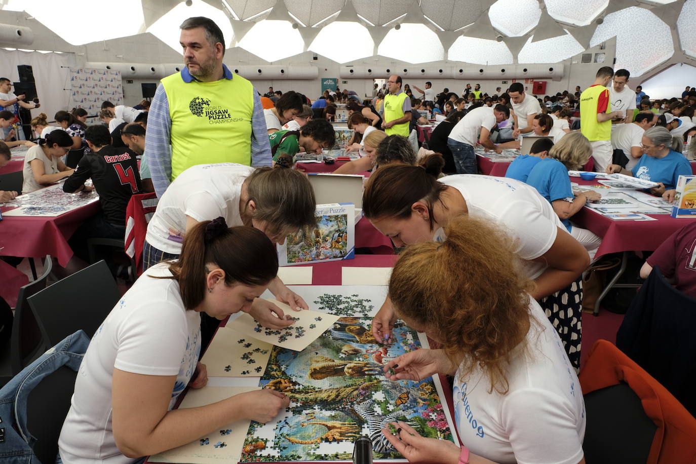 Unos 700 aficionados de 40 países diferentes participan este fin de semana en el I Campeonato del Mundo de Puzles que se celebra en la Cúpula del Mileno de Valladolid y que ha dado inicio hoy sábado con el torneo por equipos, al que seguirán mañana las disciplinas individual y por parejas. En total, el certamen, que cuenta con el apoyo del Ayuntamiento, repartirá 2.500 euros en premios.