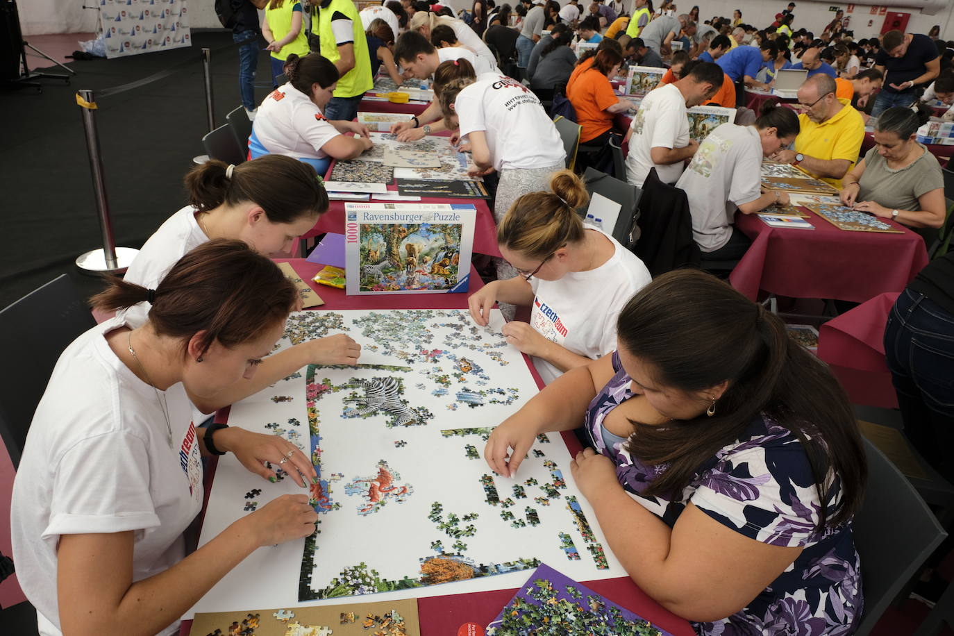 Unos 700 aficionados de 40 países diferentes participan este fin de semana en el I Campeonato del Mundo de Puzles que se celebra en la Cúpula del Mileno de Valladolid y que ha dado inicio hoy sábado con el torneo por equipos, al que seguirán mañana las disciplinas individual y por parejas. En total, el certamen, que cuenta con el apoyo del Ayuntamiento, repartirá 2.500 euros en premios.