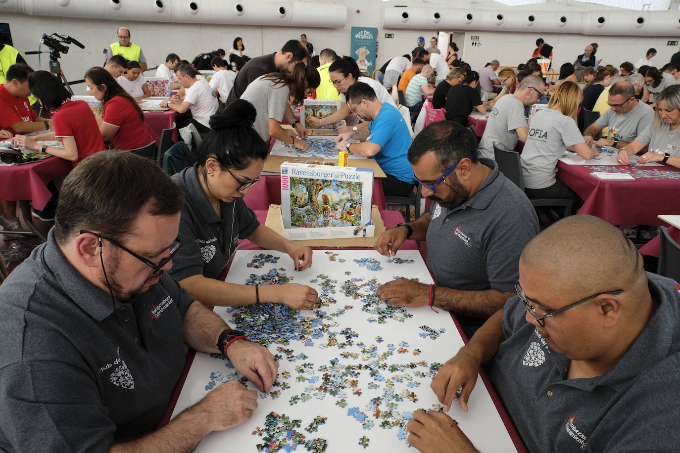 Unos 700 aficionados de 40 países diferentes participan este fin de semana en el I Campeonato del Mundo de Puzles que se celebra en la Cúpula del Mileno de Valladolid y que ha dado inicio hoy sábado con el torneo por equipos, al que seguirán mañana las disciplinas individual y por parejas. En total, el certamen, que cuenta con el apoyo del Ayuntamiento, repartirá 2.500 euros en premios.