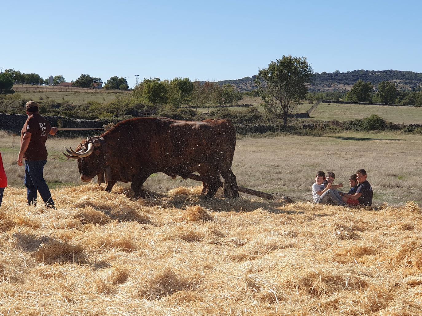 Fiestas de Fuenterroble de Salvatierra. 