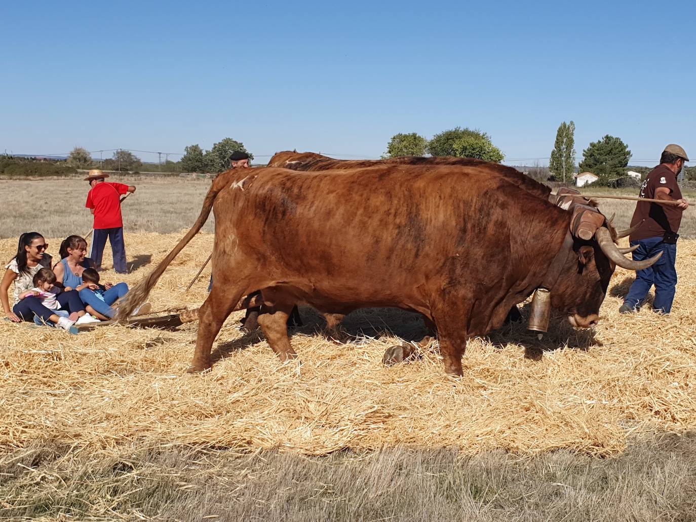 Fiestas de Fuenterroble de Salvatierra. 