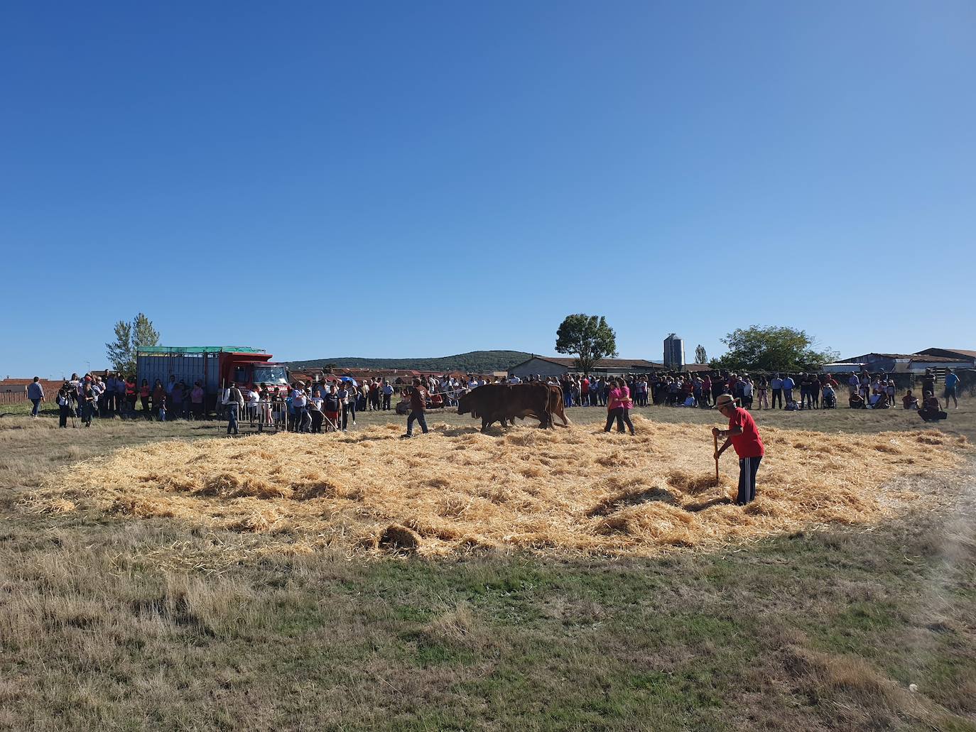 Fiestas de Fuenterroble de Salvatierra. 