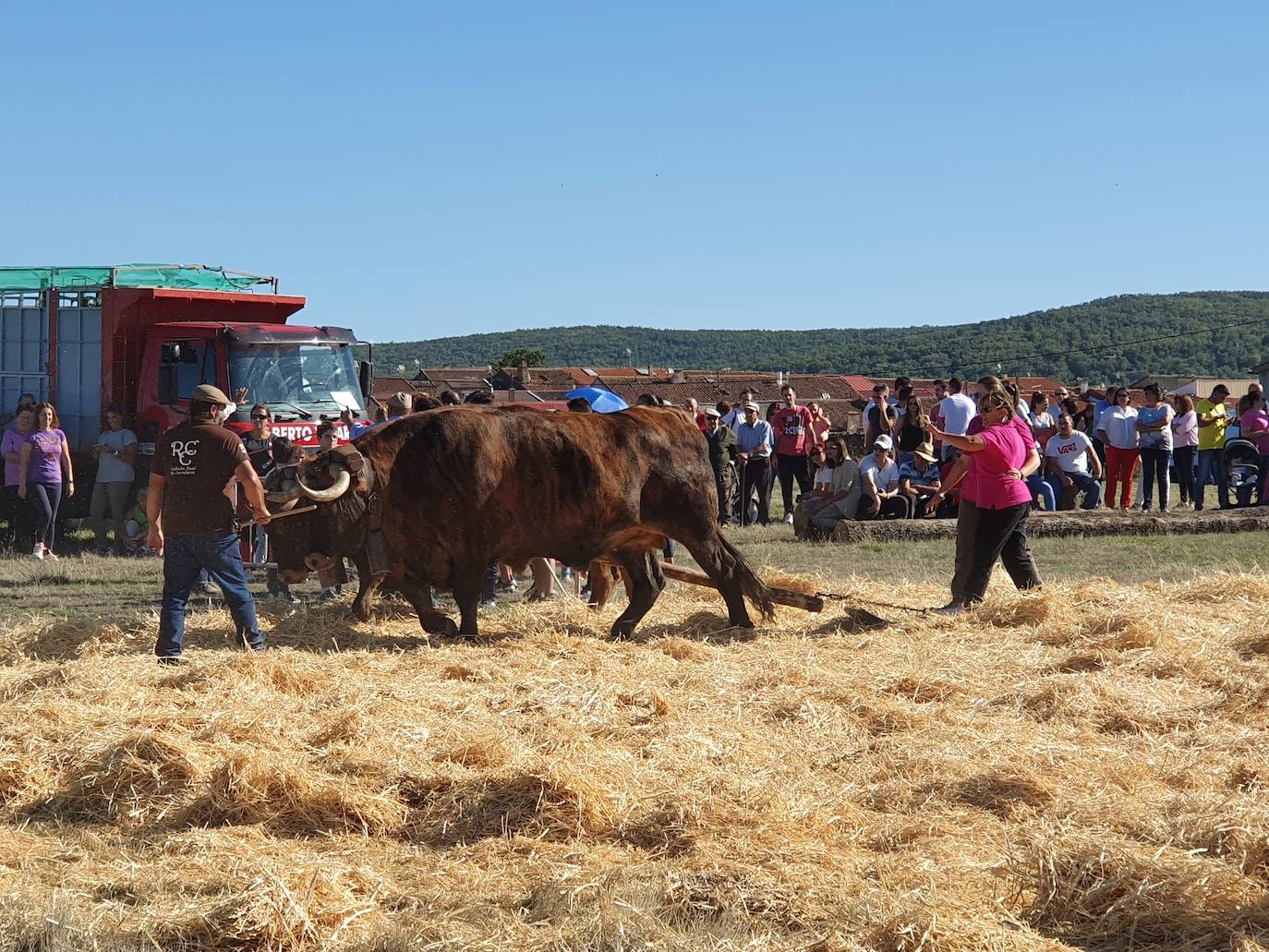 Fiestas de Fuenterroble de Salvatierra. 