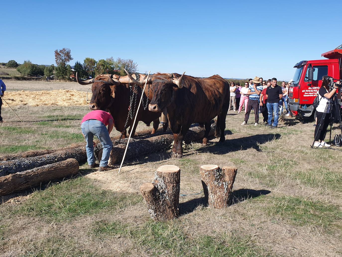 Fiestas de Fuenterroble de Salvatierra. 