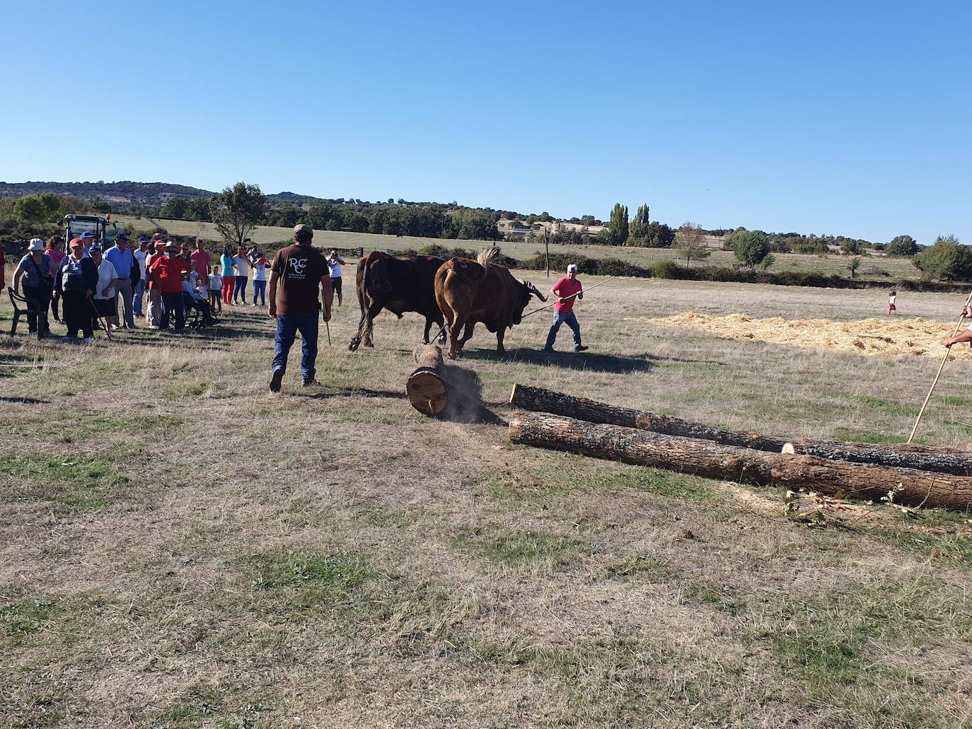 Fiestas de Fuenterroble de Salvatierra. 