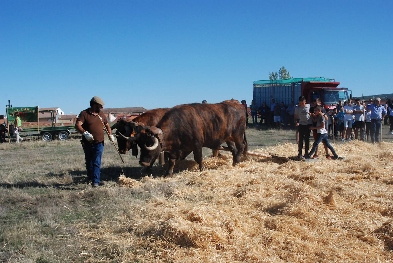 Fiestas de Fuenterroble de Salvatierra. 