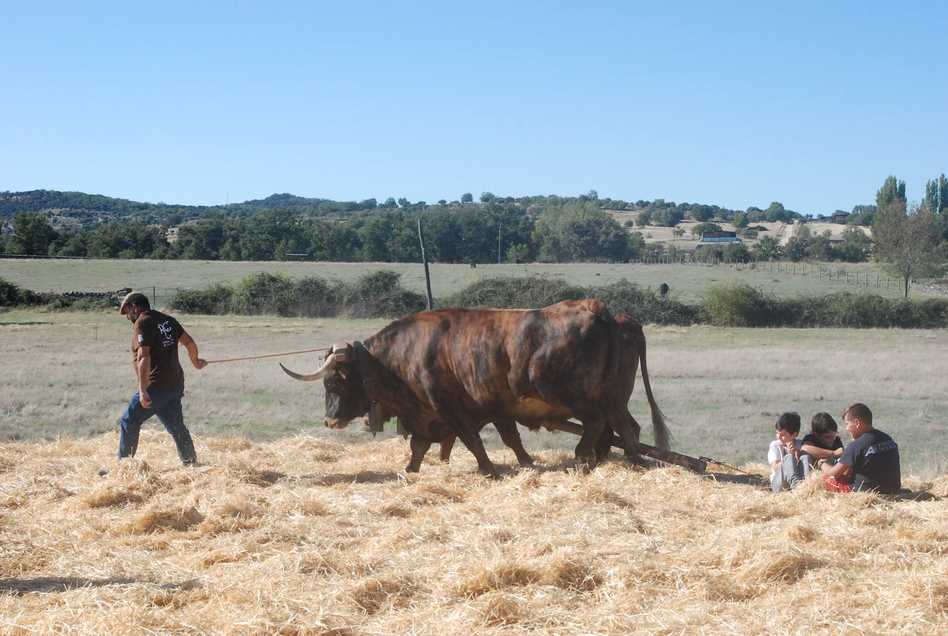 Fiestas de Fuenterroble de Salvatierra. 