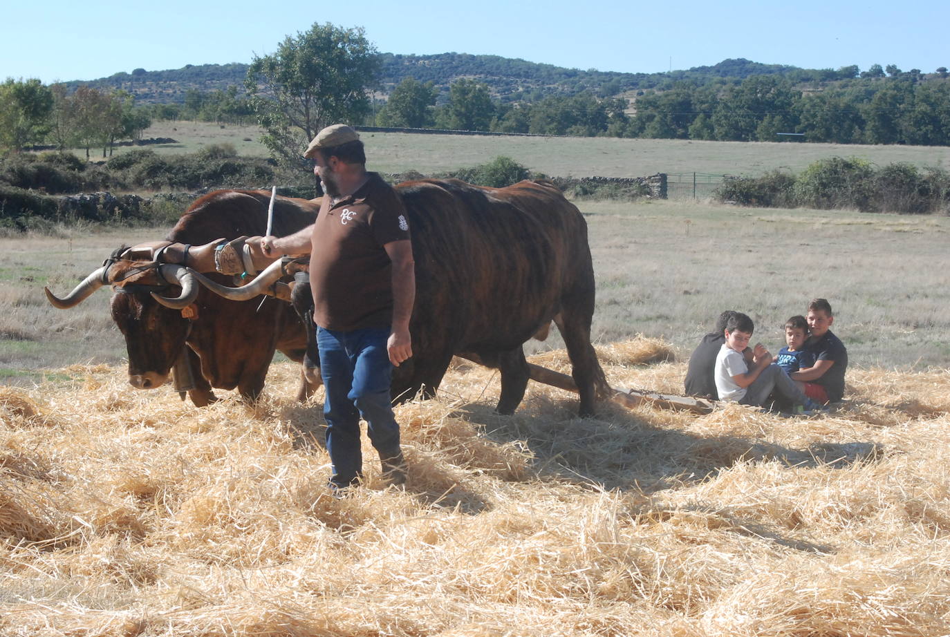 Fiestas de Fuenterroble de Salvatierra. 