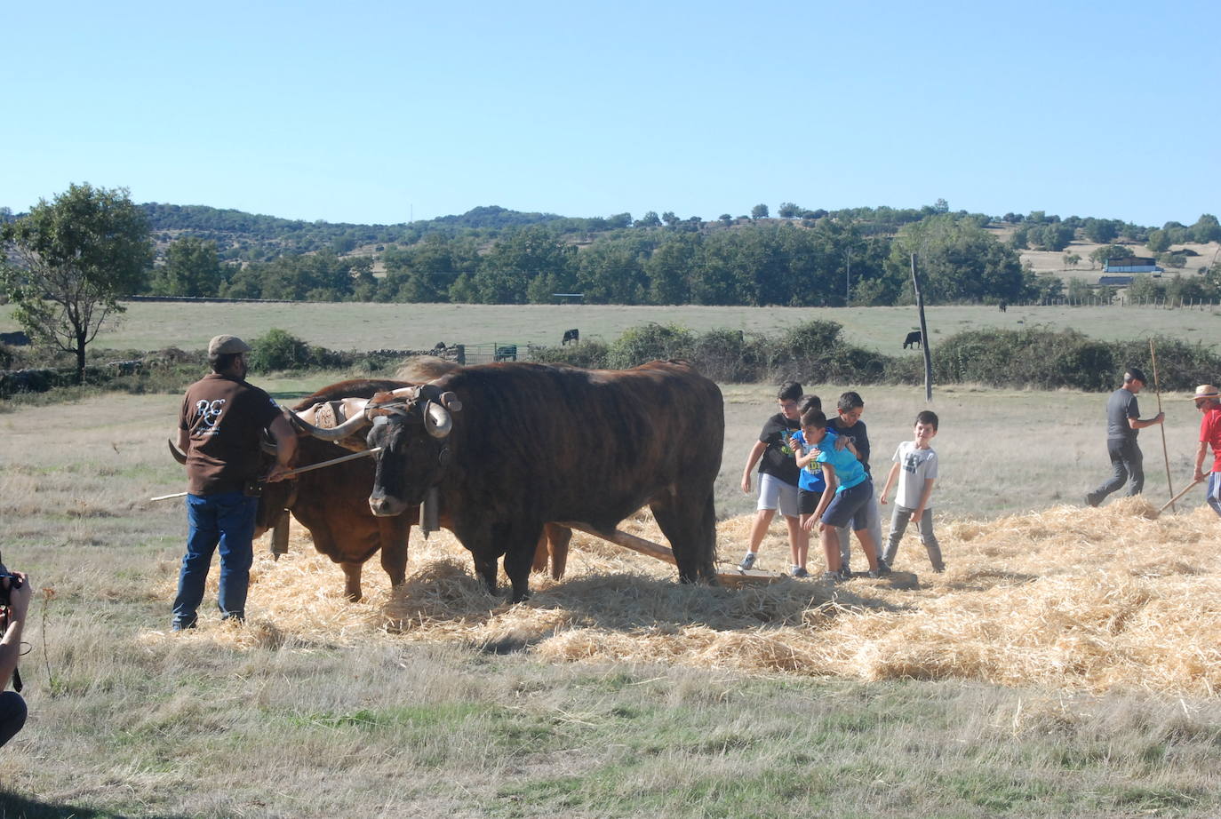 Fiestas de Fuenterroble de Salvatierra. 