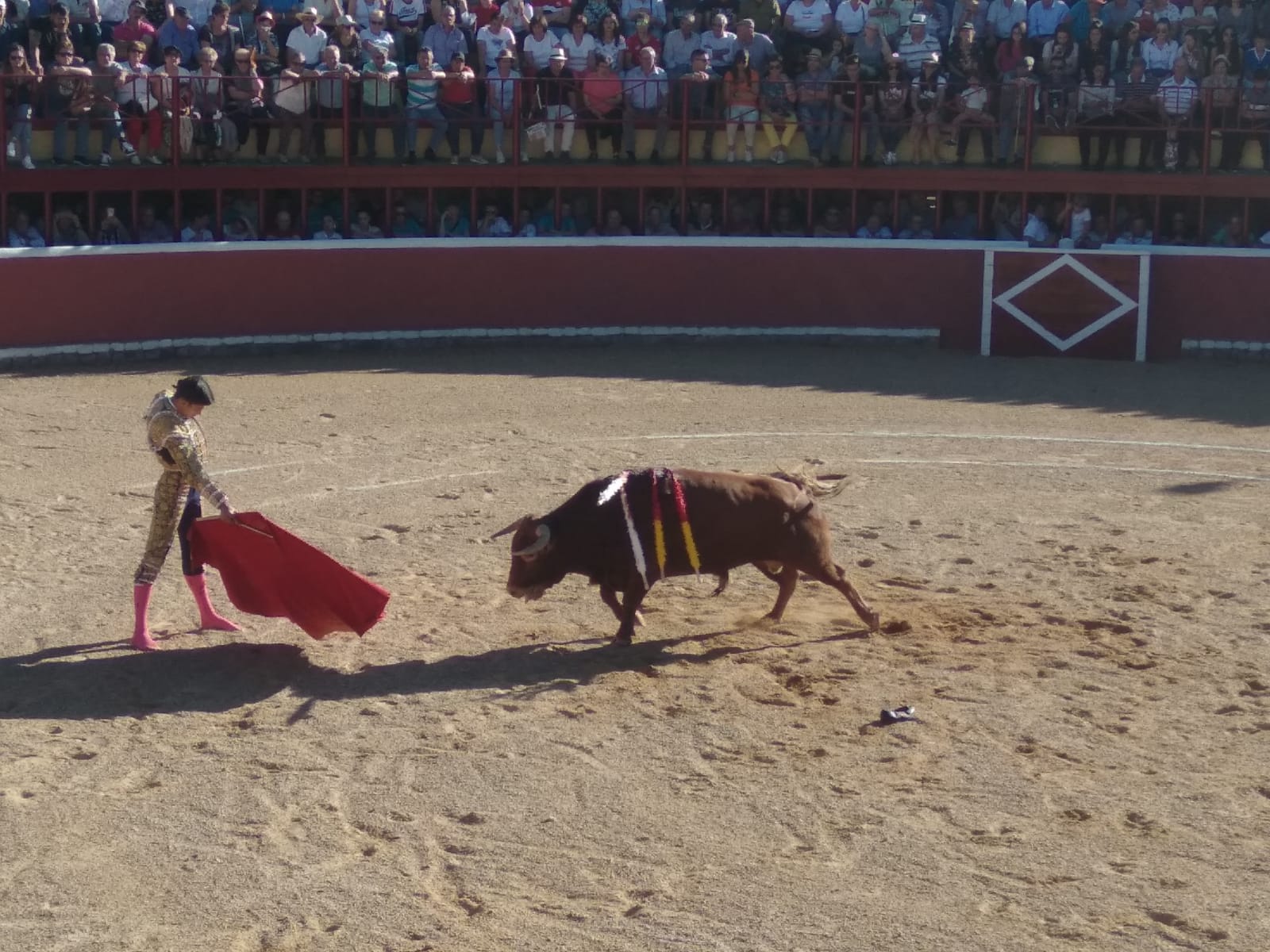 Fotos: Festejos taurinos en San Miguel de Valero