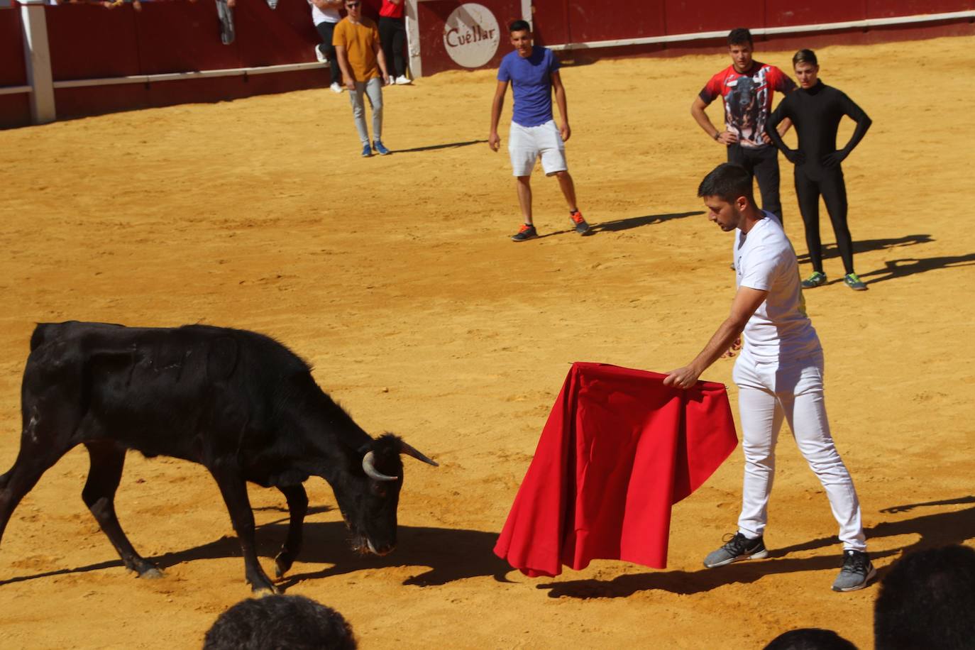 Fotos: Fiestas patronales de San Miguel Arcángel en Cuéllar