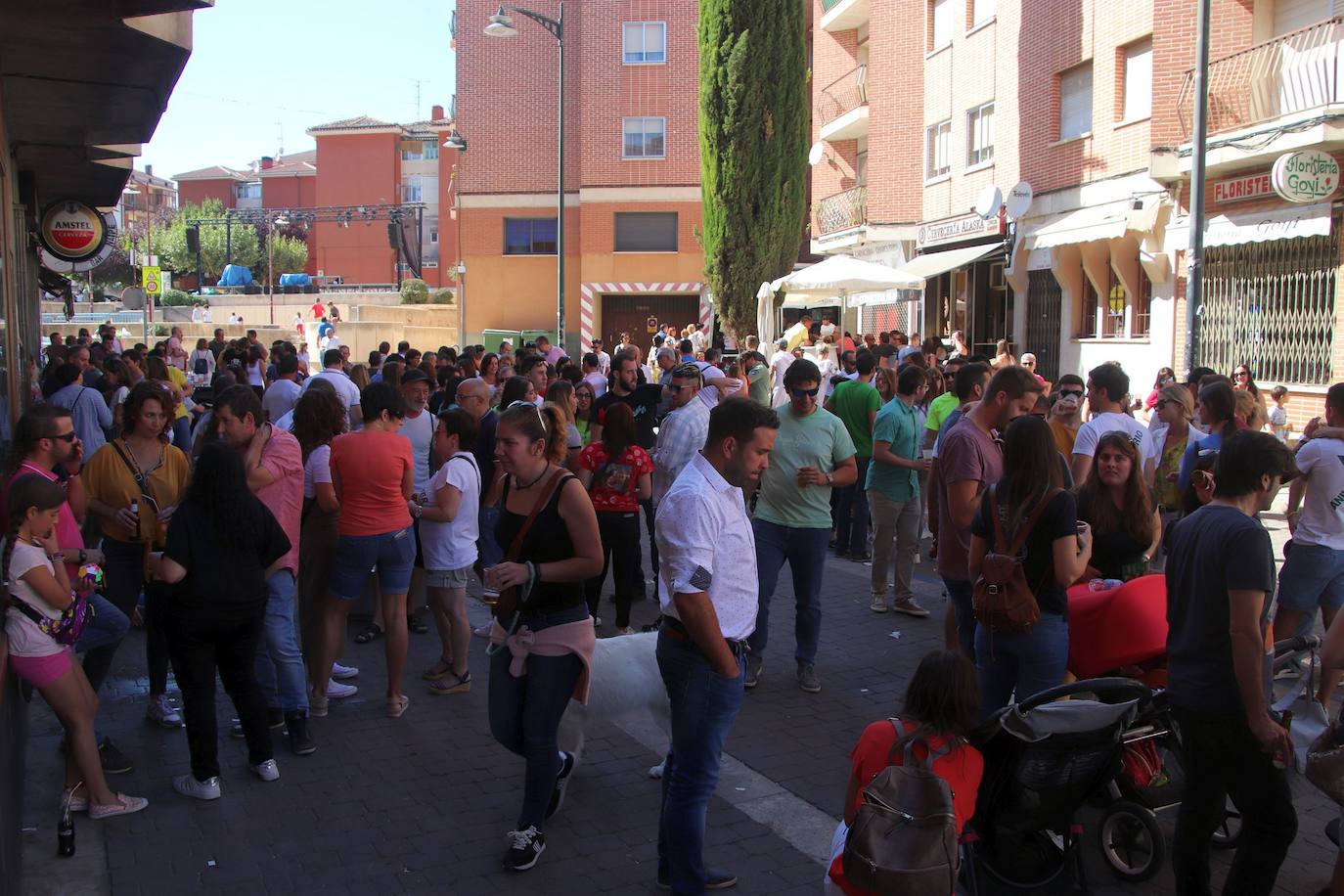 Fotos: Fiestas patronales de San Miguel Arcángel en Cuéllar