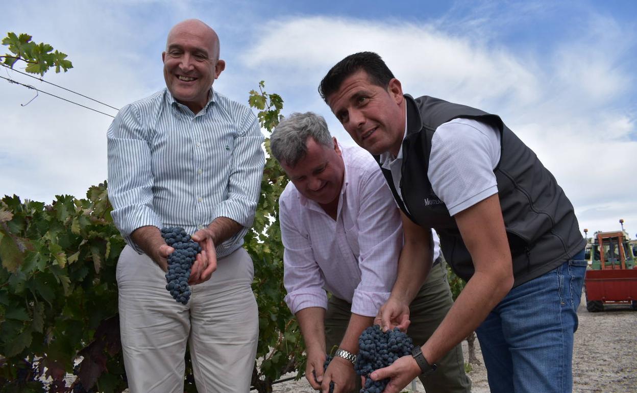 El consejero Jesús Julio Carnero y el presidente de la DO Ribera del Duero, Enrique Pascual, ayer en un viñedo de Nava de Roa. 