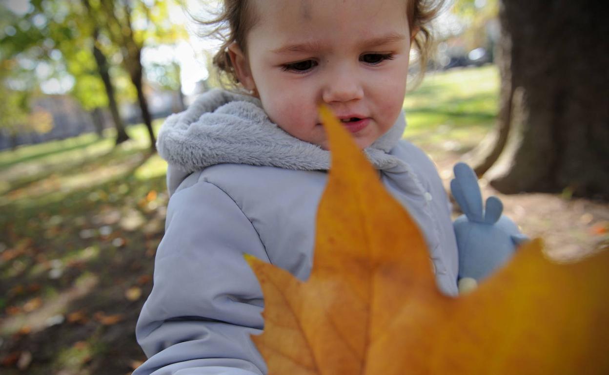 Una niña pequeña juega con una hoja caduca en el parque. 
