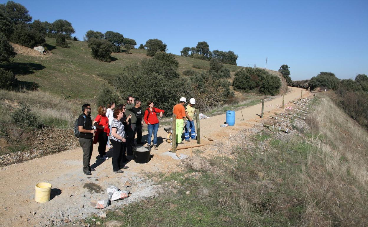 Trabajos de preparación de la vía verde que une Carbajosa de la Sagrada y Alba de Tormes. 