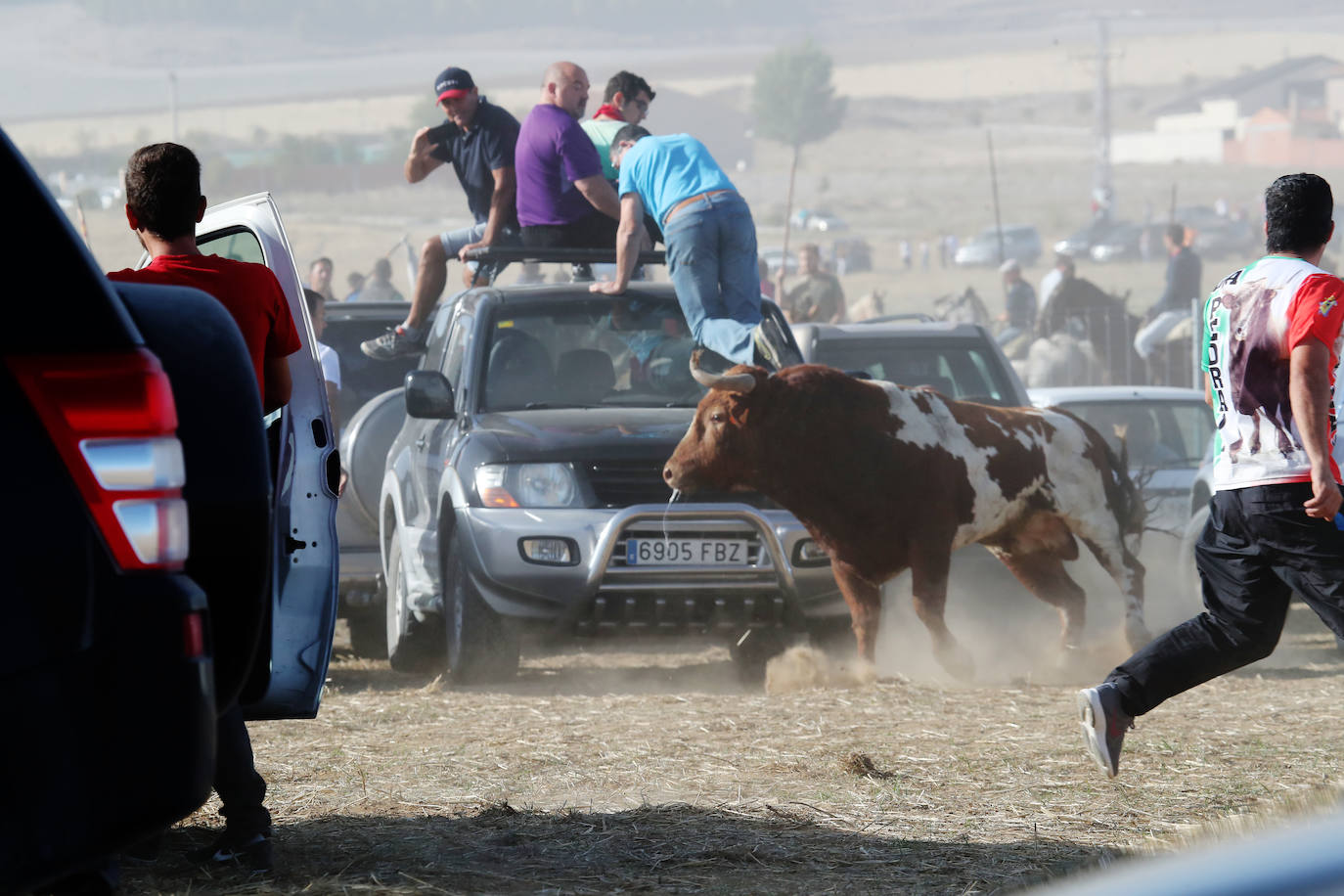 El encierro de Mojados de este mañana. 