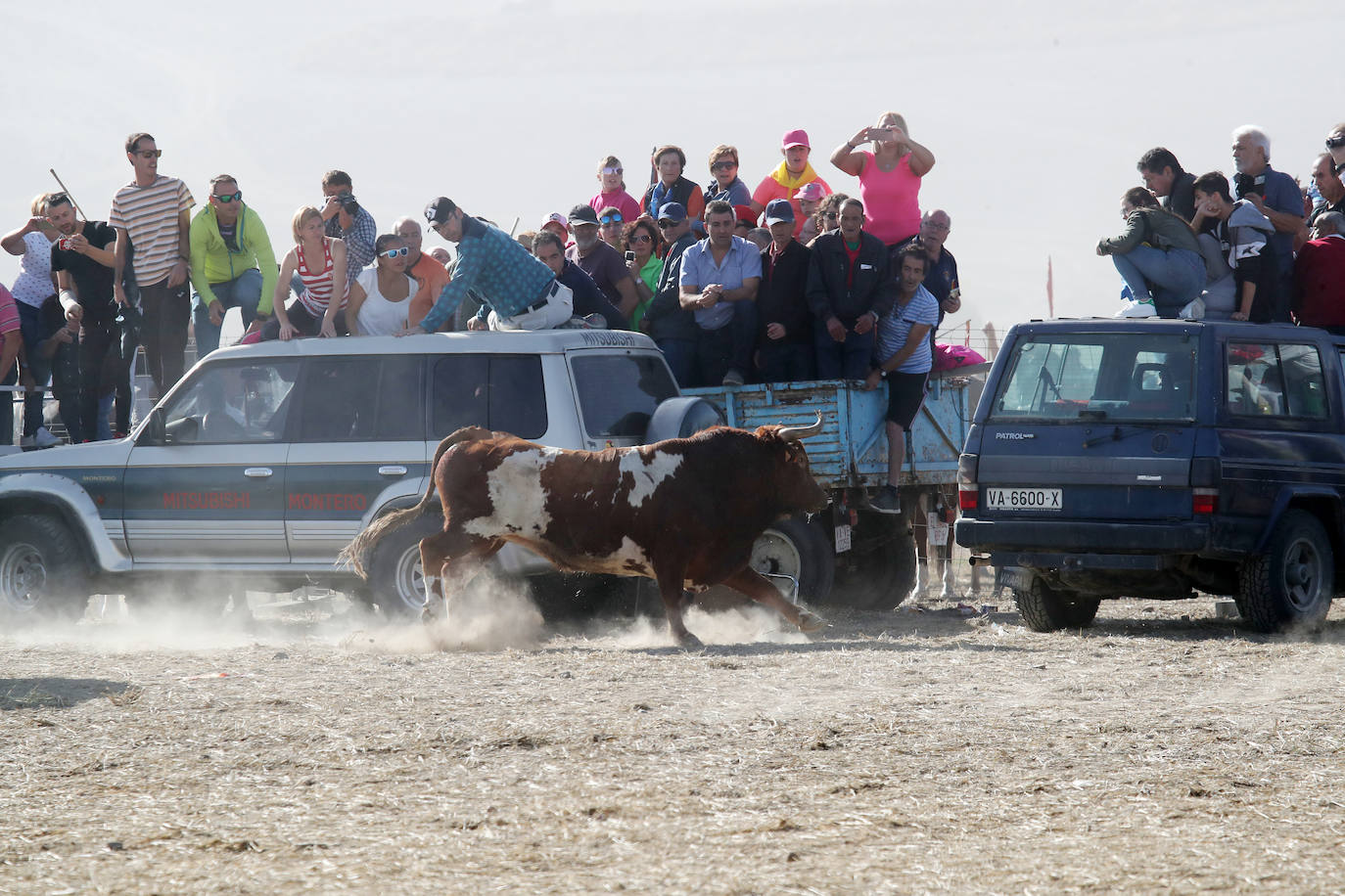 El encierro de Mojados de este mañana. 