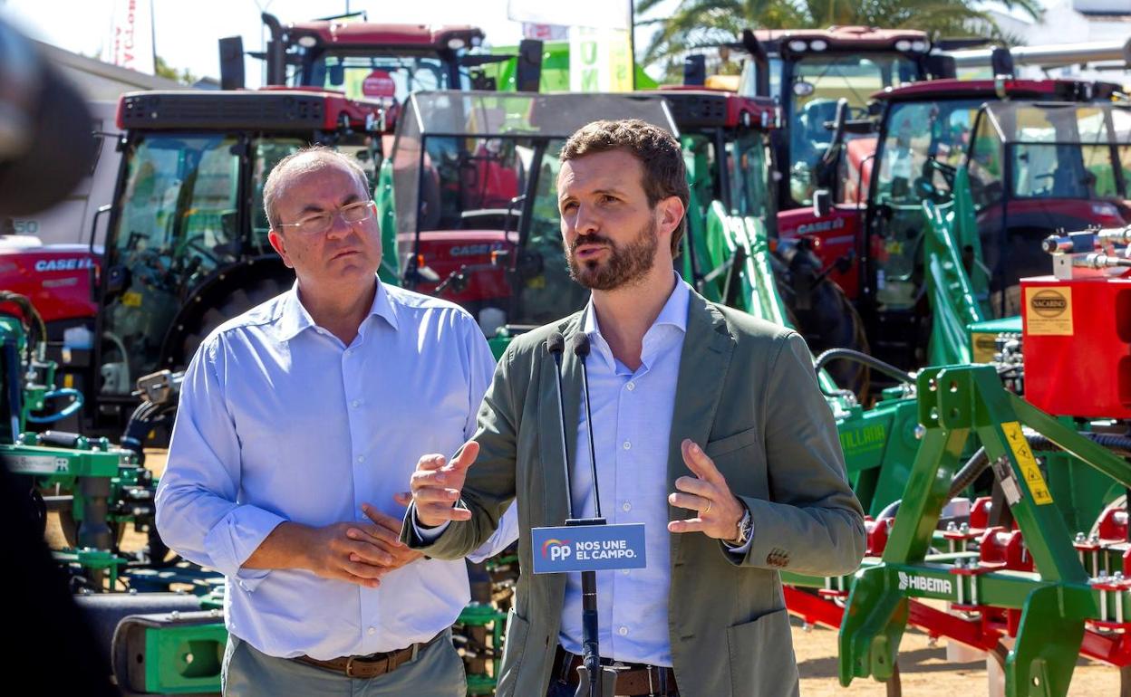 El presidente del PP, Pablo Casado, en la feria ganadera de Zafra.