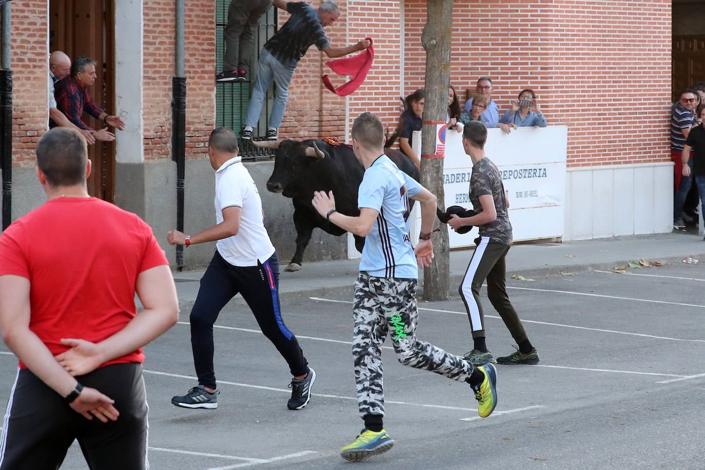 Festejo del Toro del Verdejo de Rueda. 