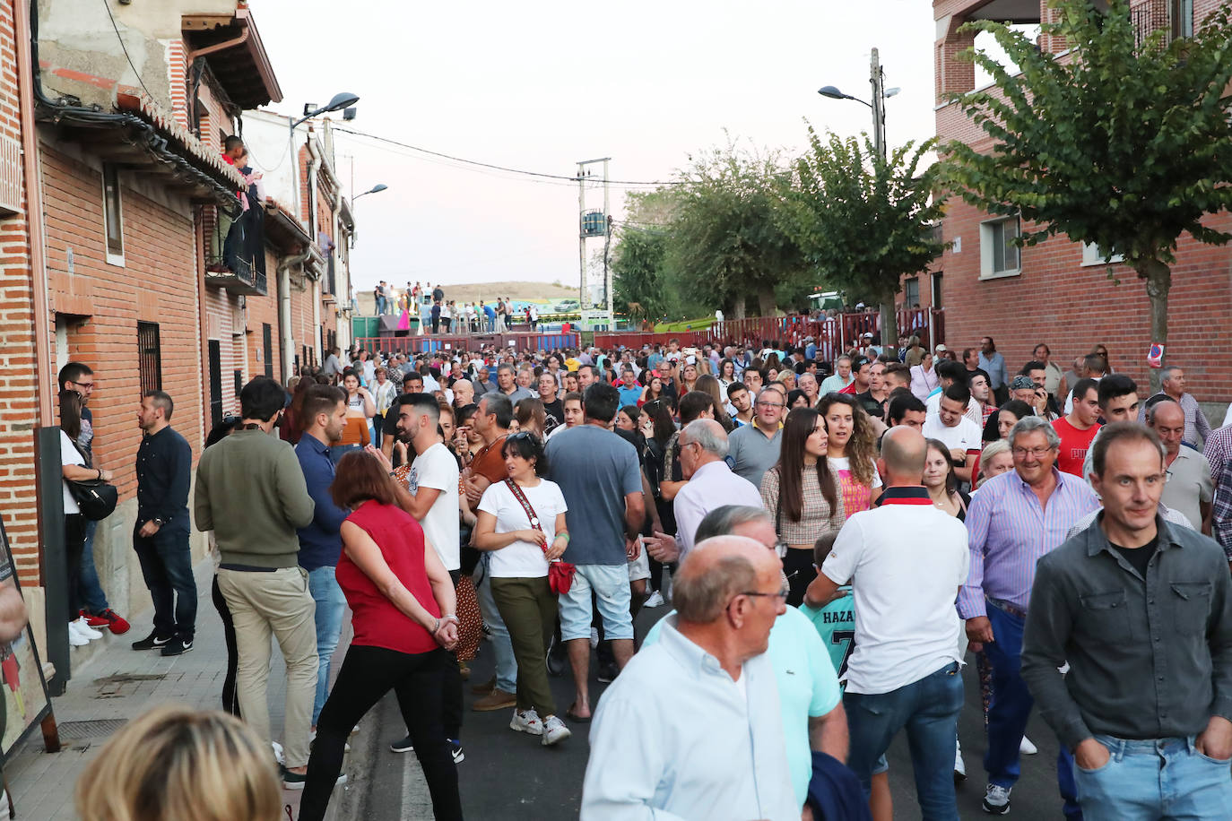 Festejo del Toro del Verdejo de Rueda. 
