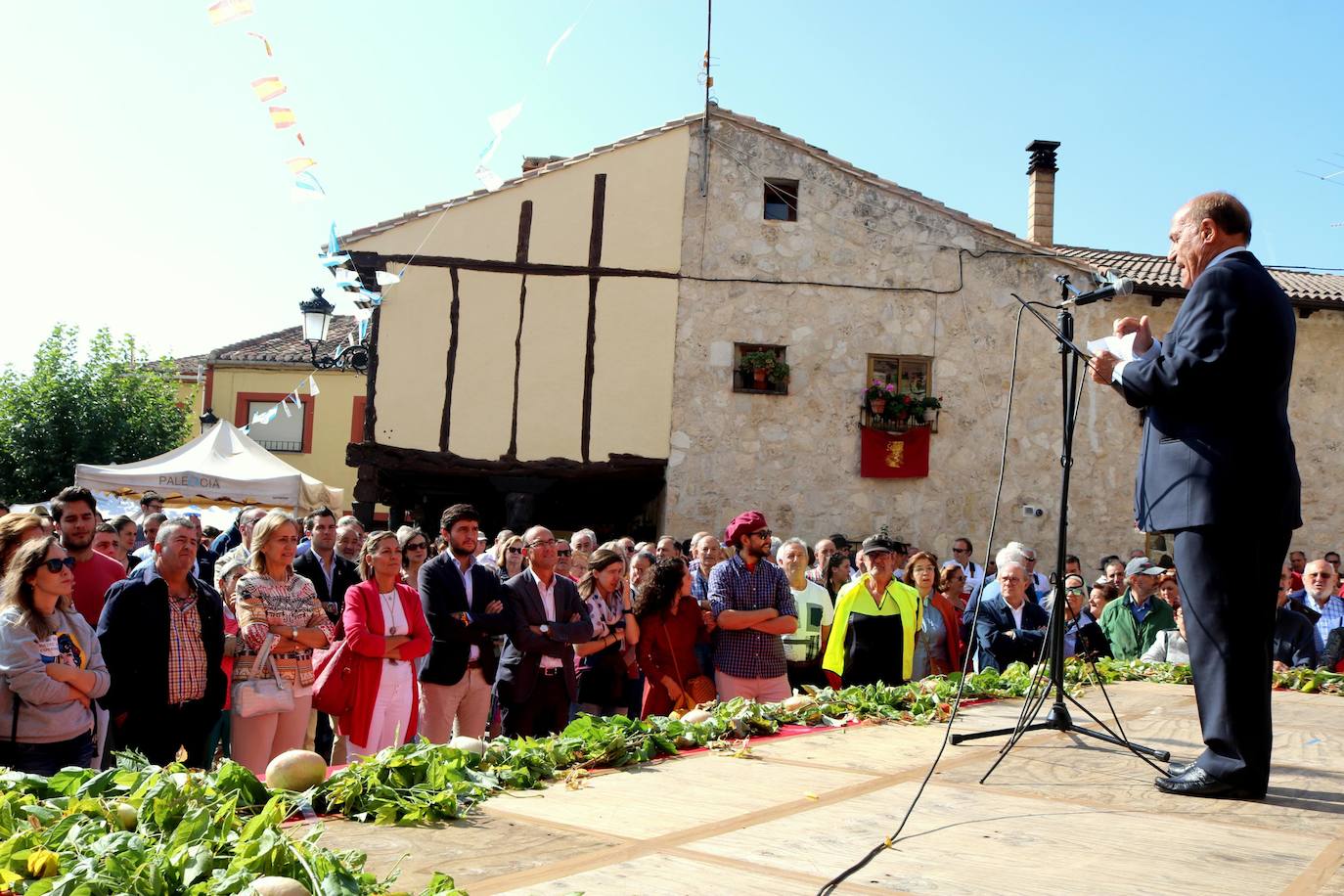 Feria de la Cebolla en Palenzuela. 