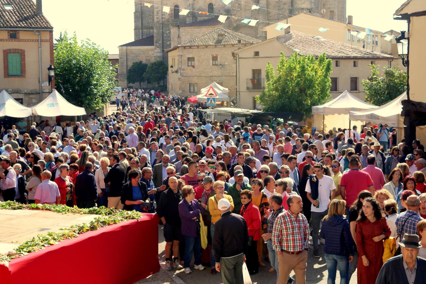 Feria de la Cebolla en Palenzuela. 