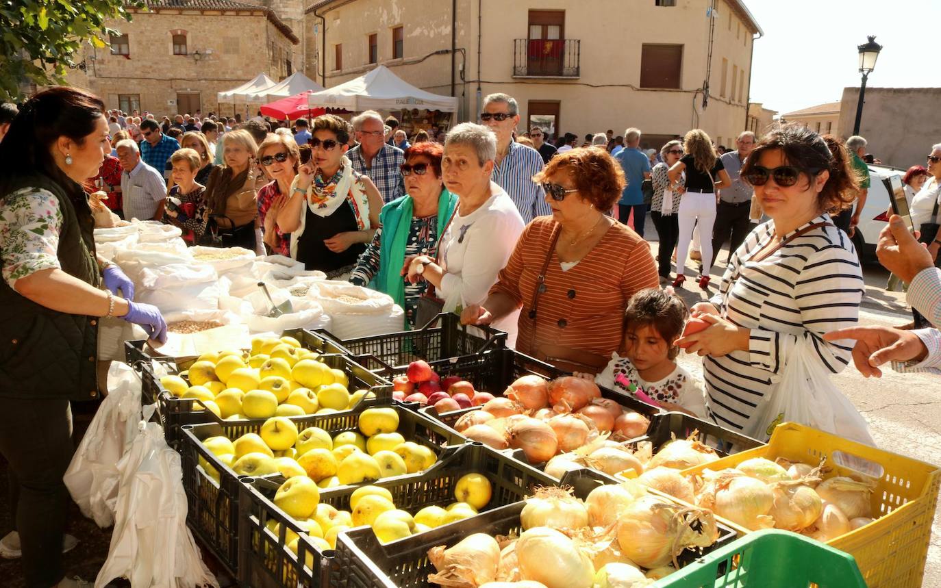 Feria de la Cebolla en Palenzuela. 