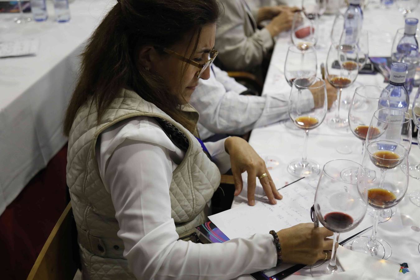 Fotos: Cuartas Jornadas Técnicas Internacionales de Sumillería en el Museo del Vino de Peñafiel