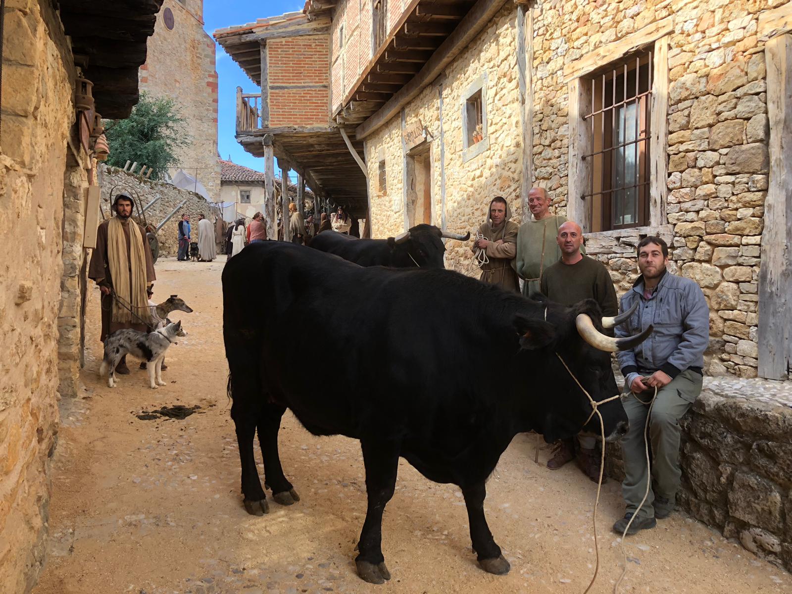 Fotos: La Cabaña Real de Carreteros participa en la grabación de la serie &#039;El Cid&#039;