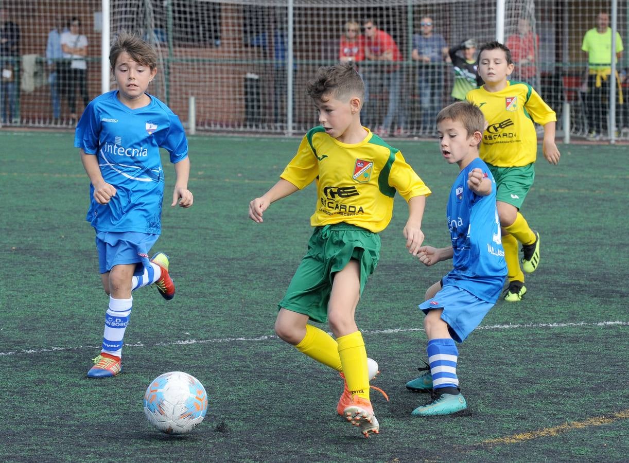 Fotos: Deporte Base del 12 y 13 de octubre. Valladolid