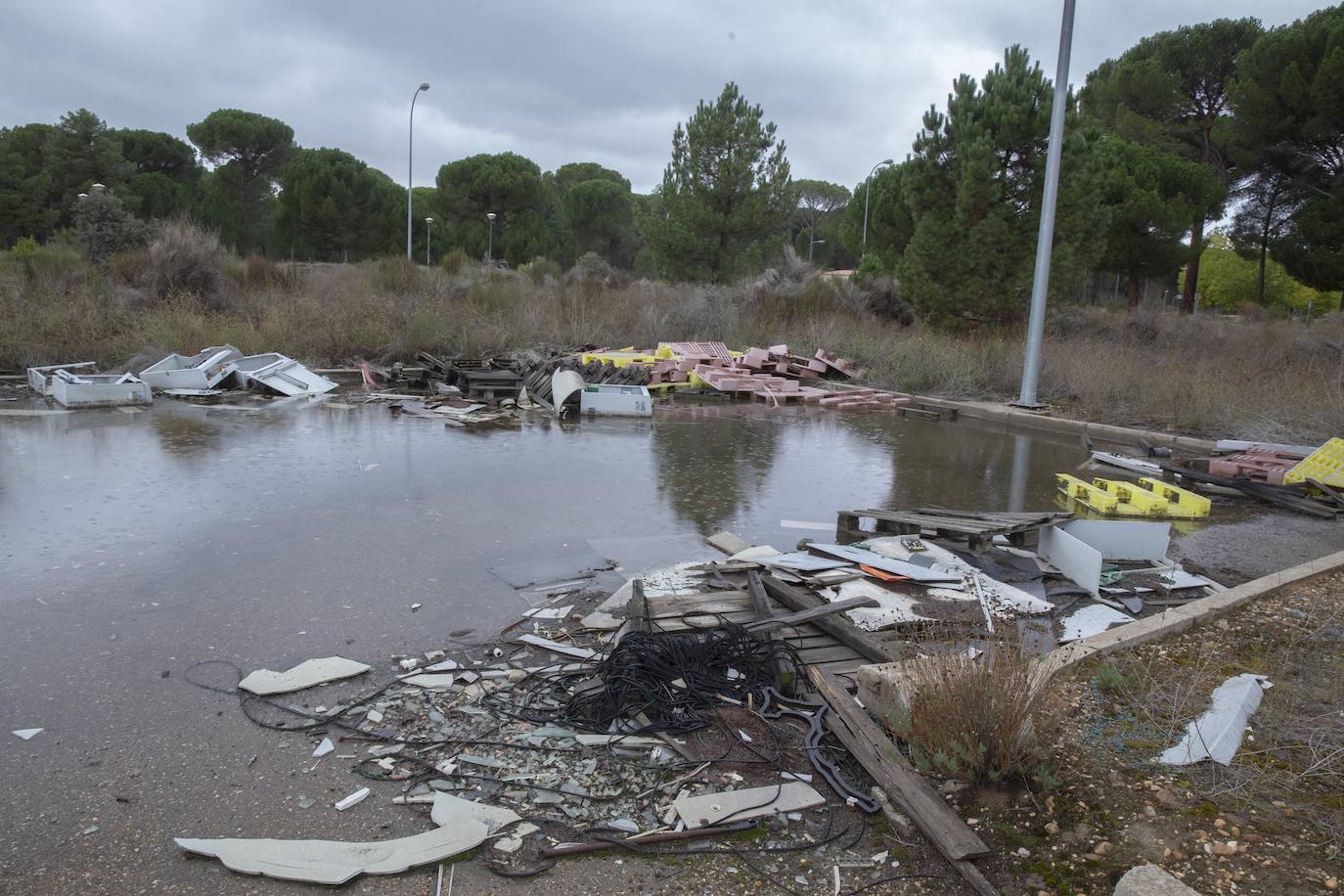 Falta de mantenimiento en el Parque Tecnológico de Boecillo