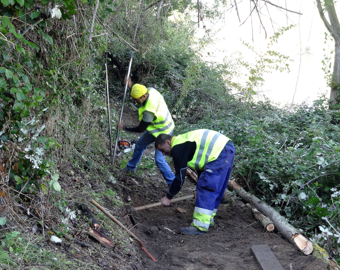 Limpieza de la senda del Pisuerga. 
