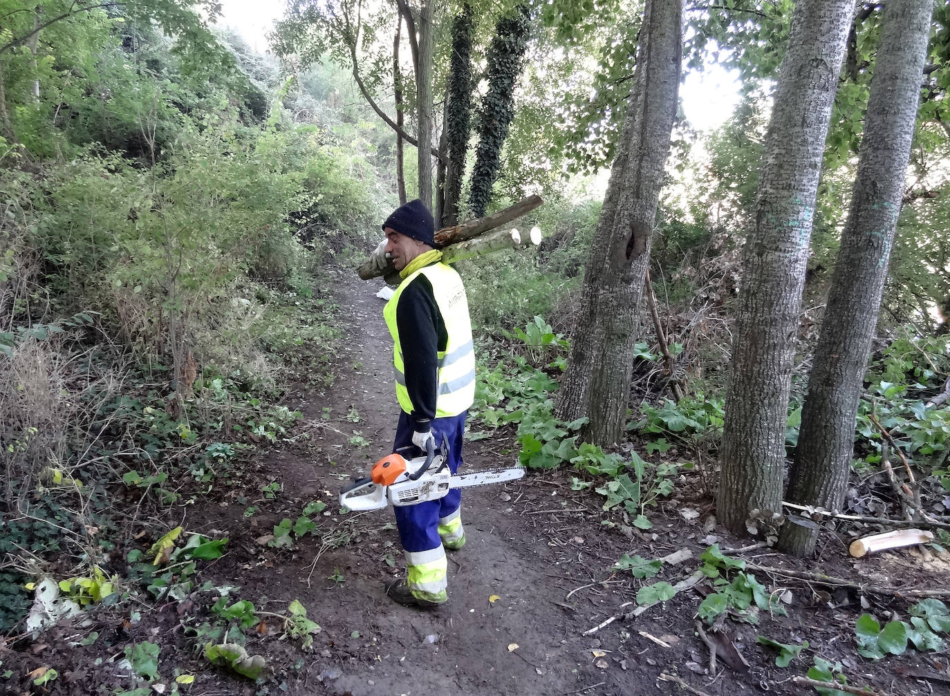 Limpieza de la senda del Pisuerga. 