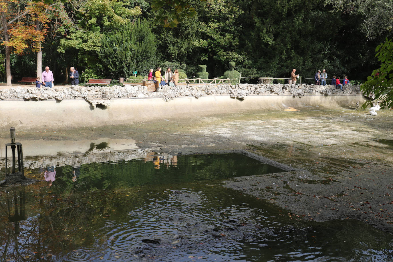 Los operarios vacían el canal, una vez despejado el estanque, ante la curiosa mirada de familias y paseantes y el apiñamiento de los habitantes acuáticos del parque.