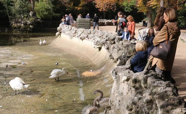 Paseantes y familias observan a los animales en el estanque vacío.