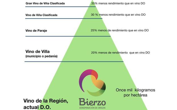 Nuevas unidades geográficas y rendimientos en la DO Bierzo. 