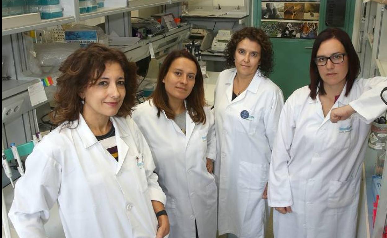 Mercedes Durán, Noemi Martínez, Maria del Mar Infante y Lara Hernández.