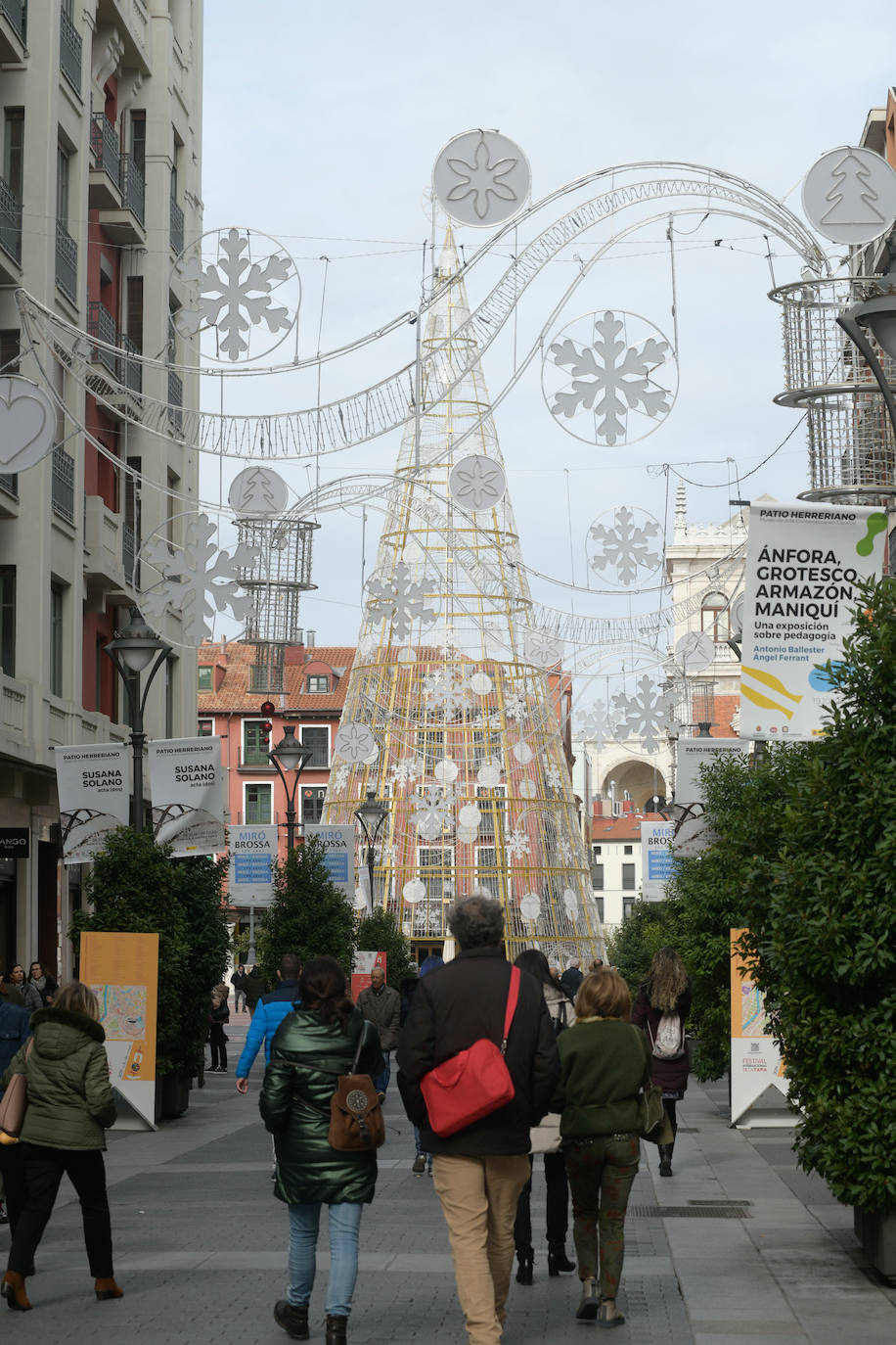 El Ayuntamiento de Valladolid ha colocado el árbol de Navidad en la Plaza Mayor y luces navideñas en las calles del centro.