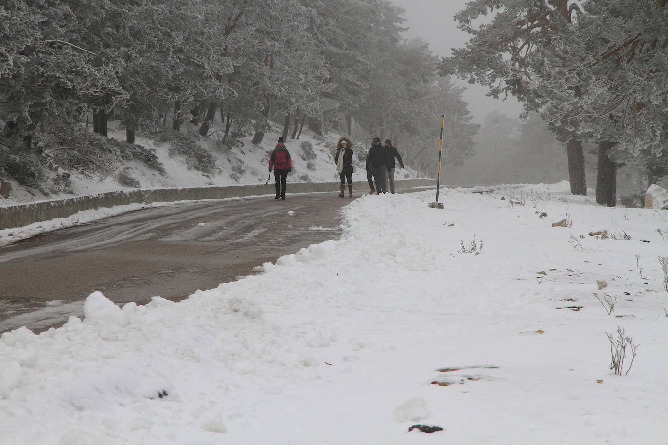 Niebla y nieve en el puerto de Navacerrada.