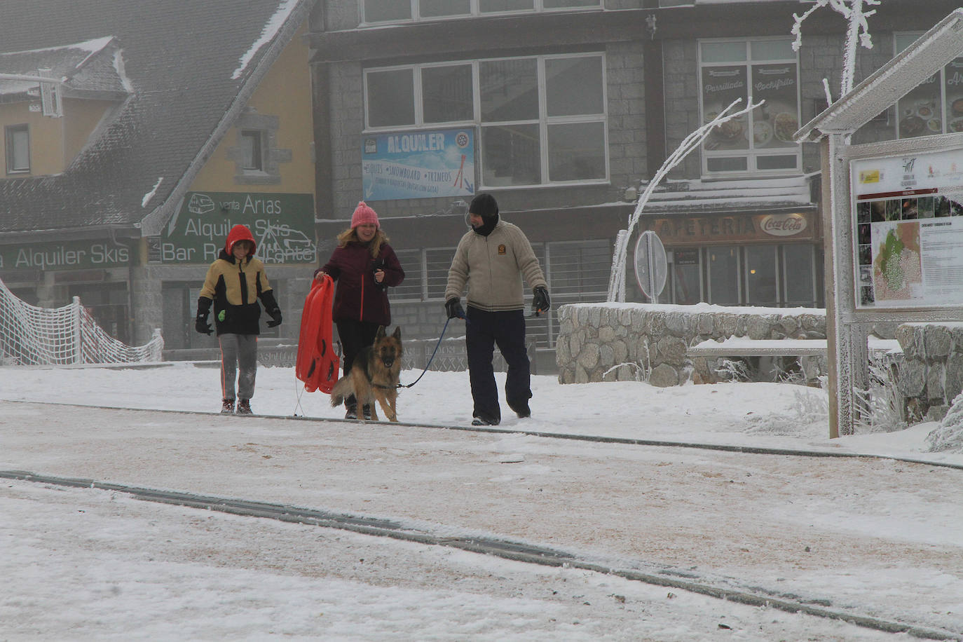 Niebla y nieve en el puerto de Navacerrada.