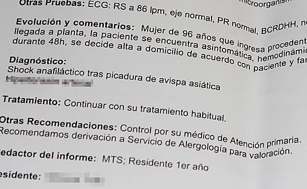 Imagen principal - Arriba, el parte de alta del hospital. Abajo, a la derecha, la mujer sostiene el insecto con sus manos. A la izquierda, la avispa asiática que picó a esta nonagenaria en Torrelavega. 