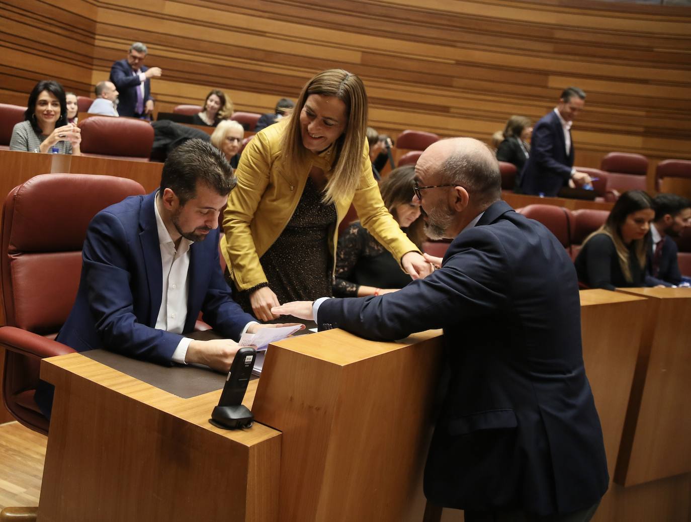 Pleno de las Cortes de Castilla y León. 