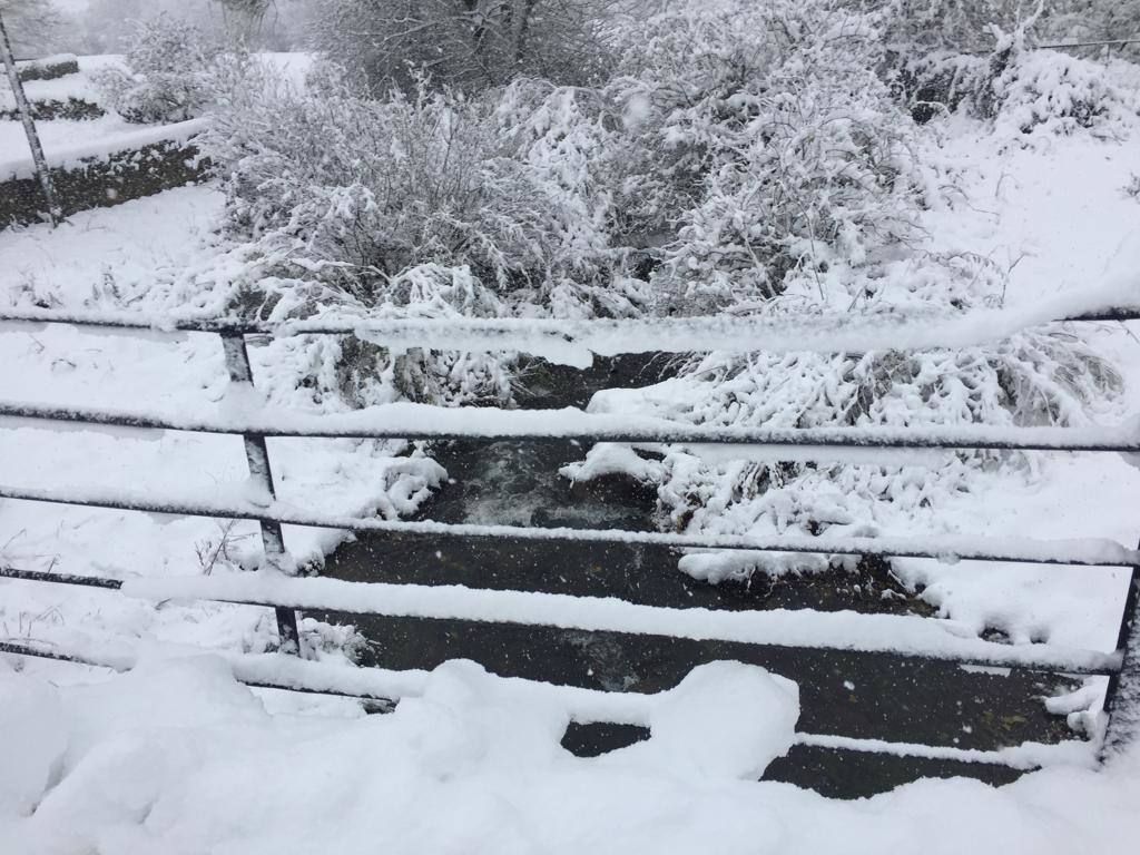 Nieve en la Montaña Palentina.