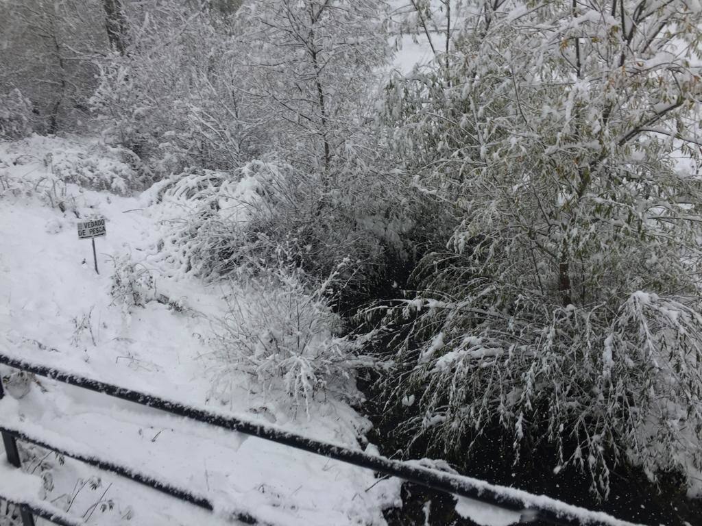 Nieve en la Montaña Palentina.