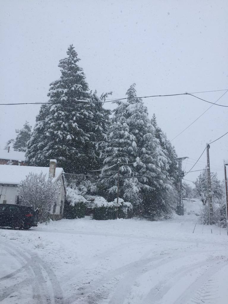 Nieve en la Montaña Palentina.