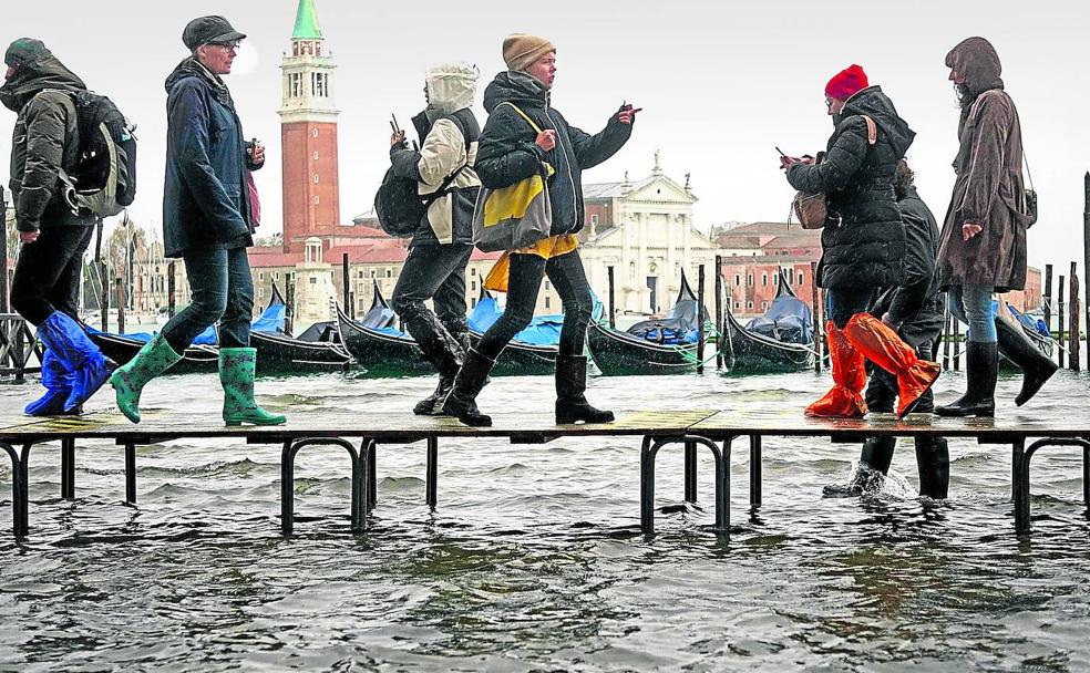 Las otras plagas de Venecia