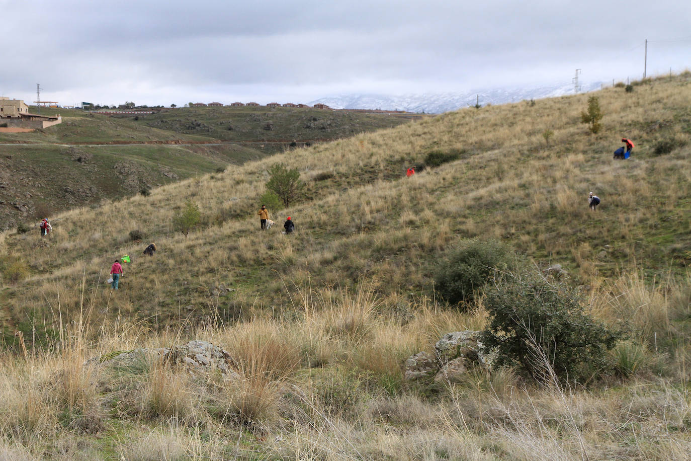 Fotos: Gran Bellotada Ibérica en Segovia